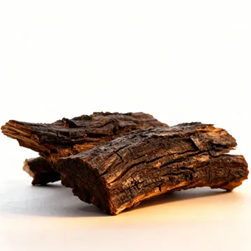 Pieces of dark muira puama bark